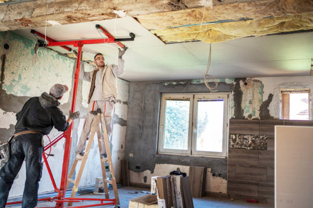 Best Wall Insulation Installation  in USA